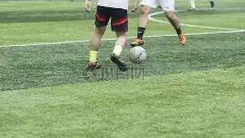 爱游戏体育 资讯 083349 fz4